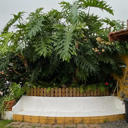 La Ganania Country house Los Realejos