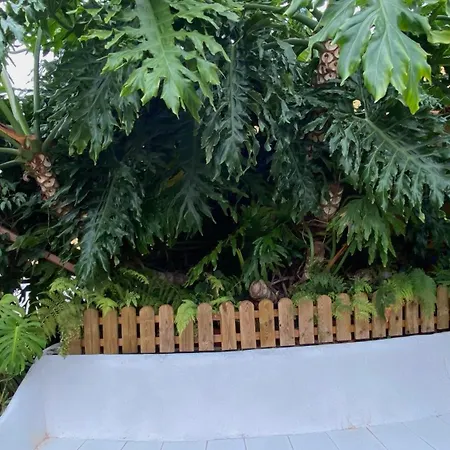 La Ganania